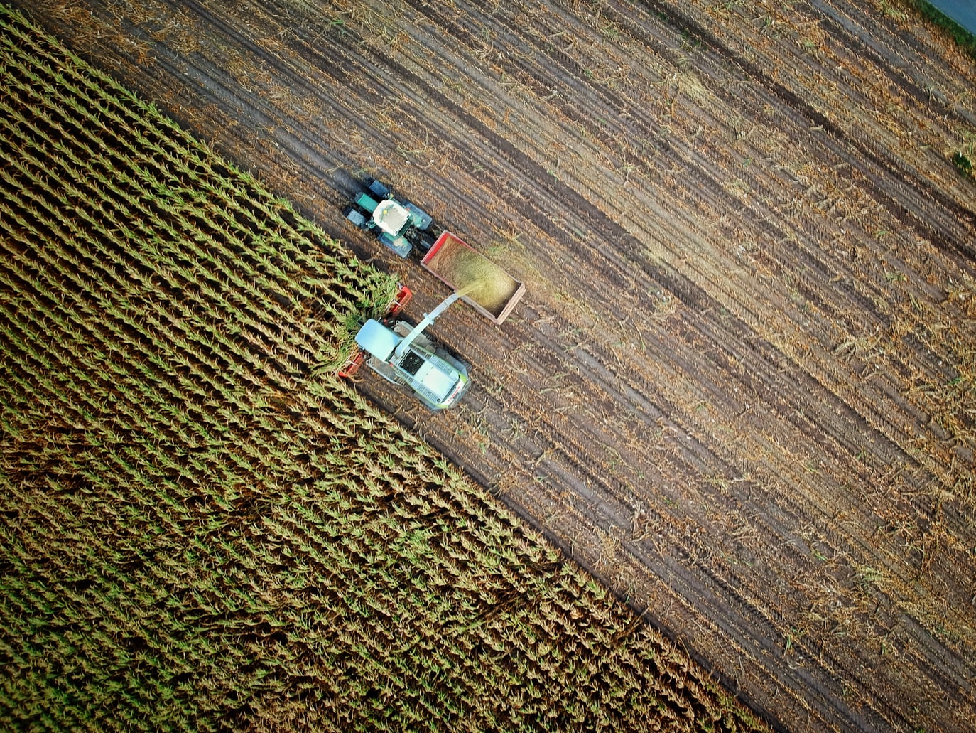 Guerra na Ucrânia impacta importação de fertilizantes