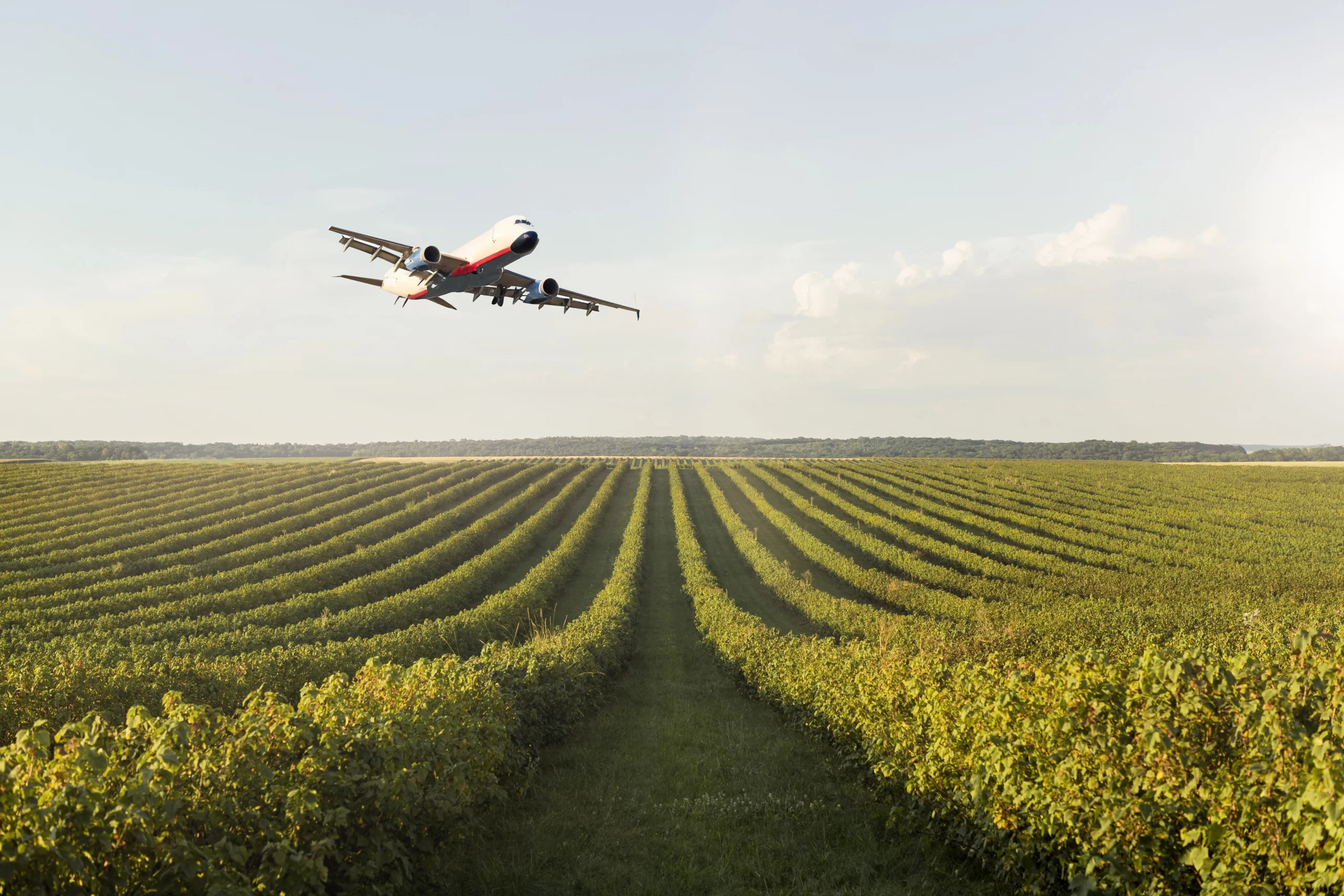 China e o Agro Brasileiro: celebrando o sucesso das relações comerciais